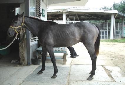 �ö��̸��� ����