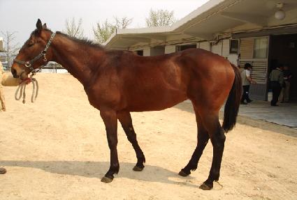 ��Űè�� ����