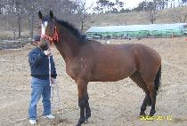 ������ǳ (MAGIC POKPUNG) ����