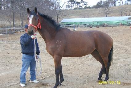 ������ǳ ����