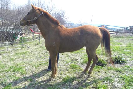 ������� ����