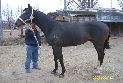 �����¸� ����