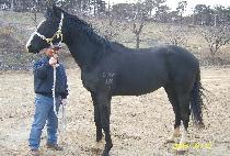 �������� (MAGIC JEONSA) ����