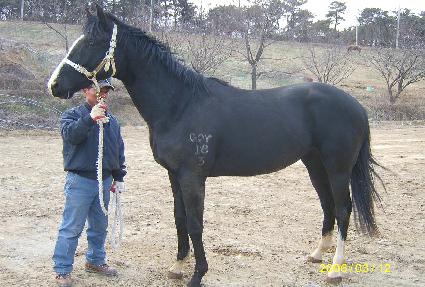 �������� ����