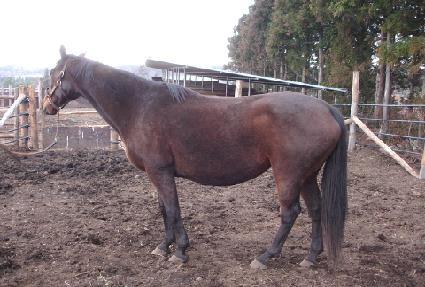 ���극���� ����