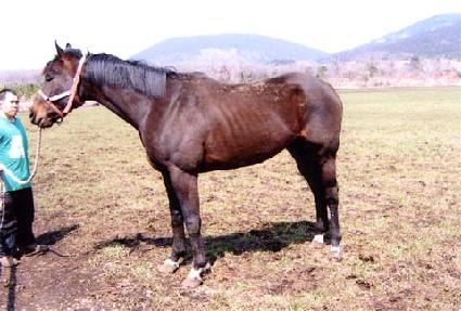 ��������Ʈ ����