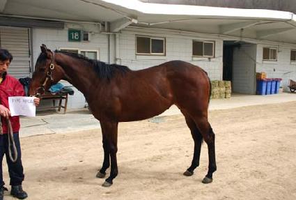 ���̾�ַ� ����