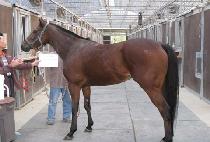 ��ī�̾𸮹�Ƽ�� (SKY UNLIMITED) ����