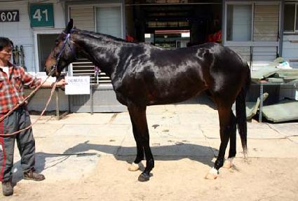 ���������� ����