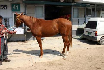 �������̵� ����