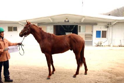 �����н��� ����