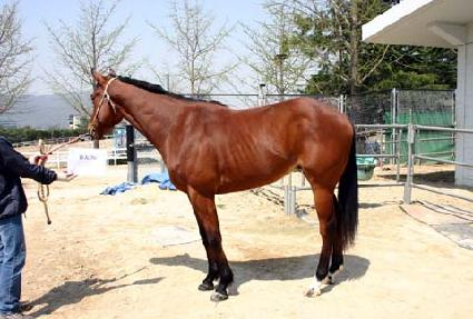 ���� ����