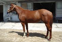 �׷���Ʈ�������� (GREAT EMPRESS) ����