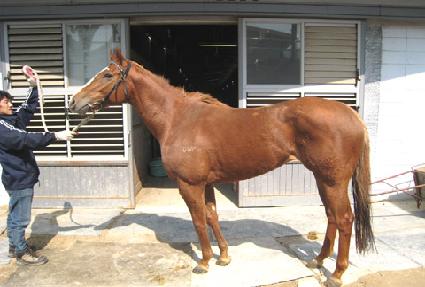 �Ŀ��� ����