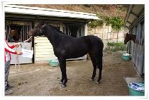 ���̴����븮 (MIDAS VALLEY) ����