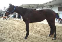 �ָ����� (JUMAL NEWS) ����