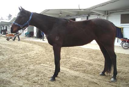 �ָ����� ����