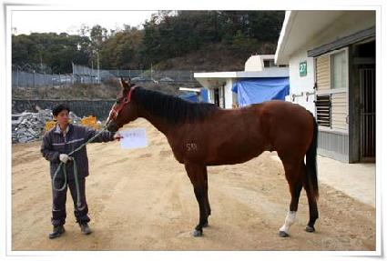 �������� ����