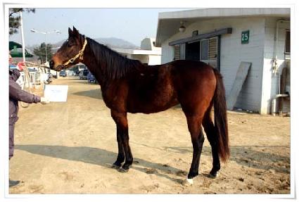 ���� ����