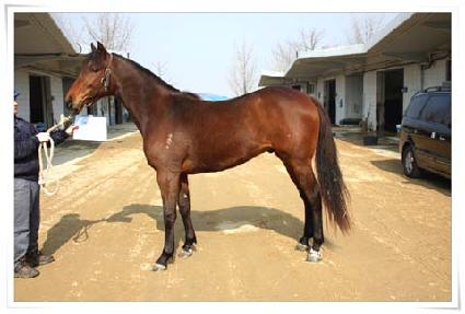 ĸƾ���� ����