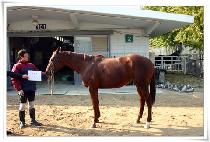 ������ (UBIKO) ����