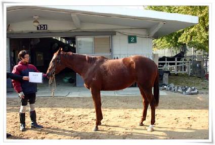 ������ ����