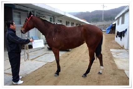 ����ũ��� ����