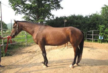 ��ƼǮ��ī�� ����