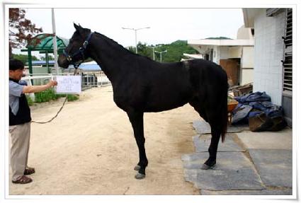 ����Ʈ��Ÿ ����