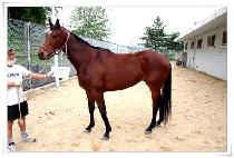 �÷�Ǯ���ε� (COLOURFUL MIND) ����