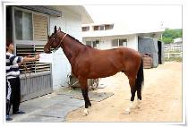 Ÿ�����ϰ��ÿ��� (TIME TO NEGOTIATE) ����