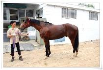 ����ν��� (HERO��S SONG) ����