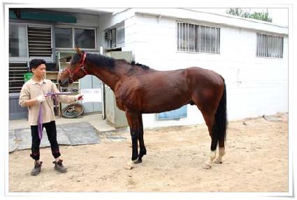 ����ν��� ����