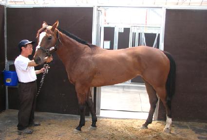 ���ĺ��� ����