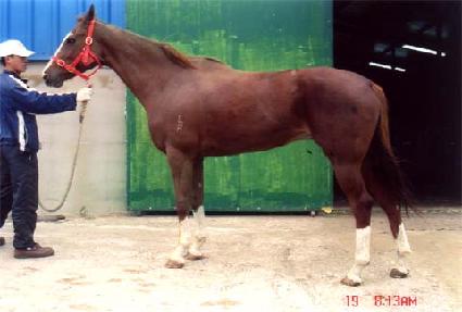 �������ͺ����̾� ����