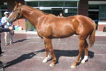 �����ǰ��� (SEOULUI GANGJA) ����