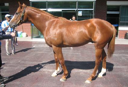 �����ǰ��� ����