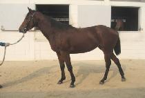 ��¿��� (USEUNG YEOSIN) ����