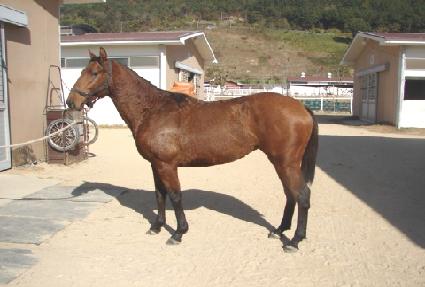 ���決�� ����