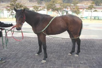 ���������� ����