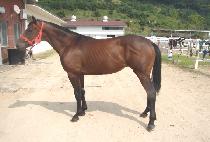 ��û���Ϸ� (KWAECHEONGHAN HARU) ����