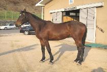 ��¹��� (USEUNGMIHAK) ����