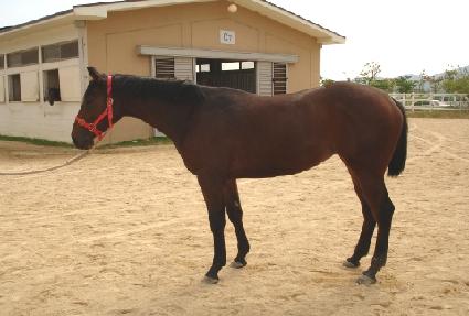 ������Ʈ ����