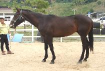 ����Ʈ���� (CONCEPT MACH) ����