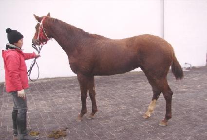 �緮�� ����