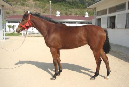 ������� ����