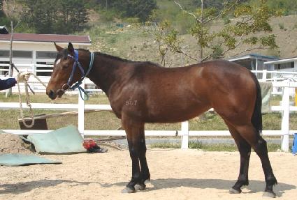 �εջ� ����