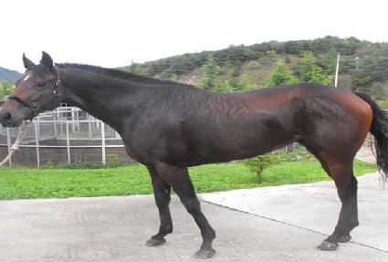 �������� ����