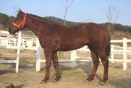 �������� ����