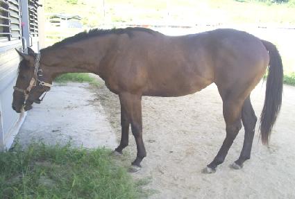 �¸����� ����